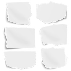 Paper tears of different shapes set isolated on white background. Vector illustration.