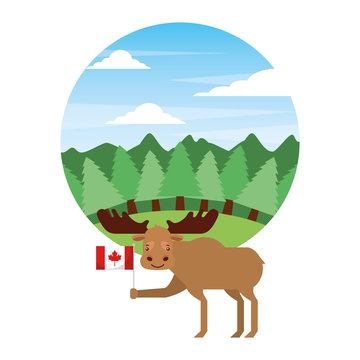 moose holding canadian flag in forest