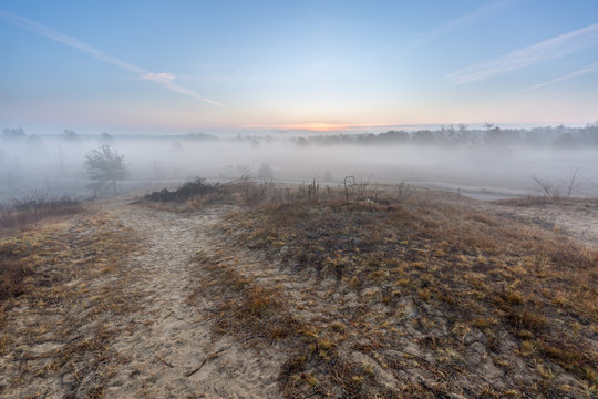 On the horizon the sun rises. She sees a fog-shrouded forest and a sandy lanfscape - Barnim Nature Park, Bernau near Berlin, Germany