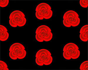 rose  isolated on black background