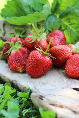 Mature strawberry on the grass