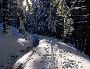 Wanderung im Schnee