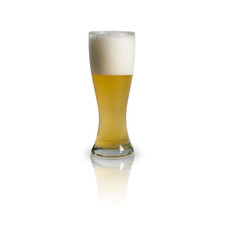 Frothy Beer stein