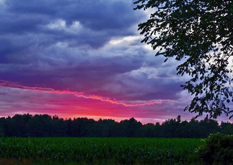 Purple Blue Pink Sunset