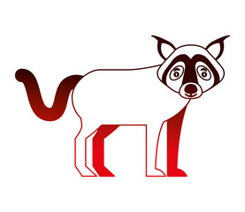 wolf beast creature animal image