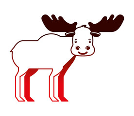 moose animal canada nature wild