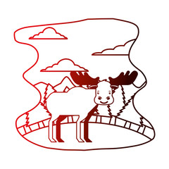 moose animal nature wild in forest landscape