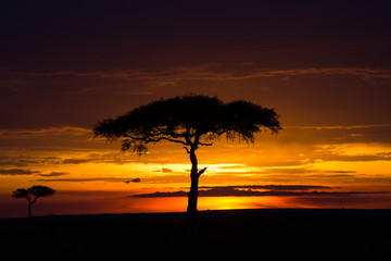 Fototapeta na wymiar Sunet in Africa