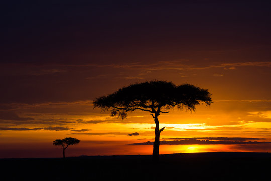 Sunet in Africa