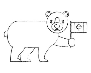 cute bear holding canadian flag