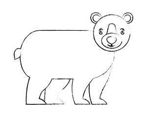 grizzly bear animal wildlife image