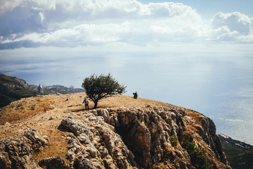 одинокая груша на Ильяс-Кая
