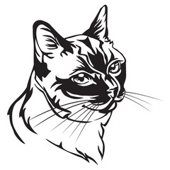 Decorative portrait of Thai Cat vector illustration