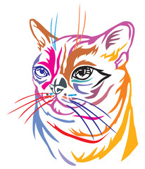 Colorful decorative portrait of Burmese Cat vector illustration
