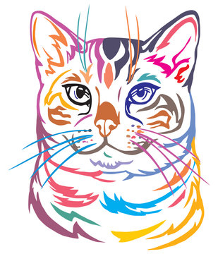 Colorful decorative portrait of Bengal Cat vector illustration