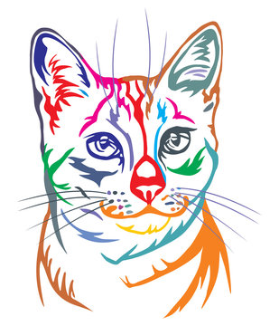 Colorful decorative portrait of Egyptian Mau Cat vector illustration
