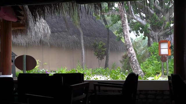 Regen im Paradies