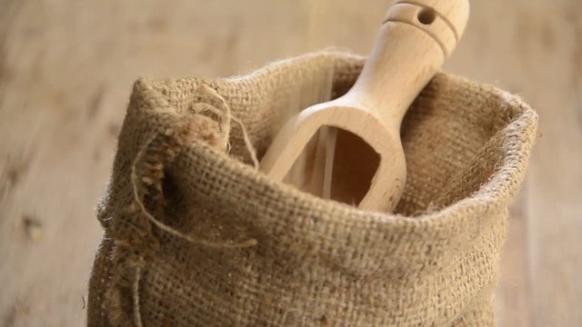 Oryza sativa धान Arroz Riso 水稻 Rice أرز أسيوي  Ris L&uacute;a video Рис посевной Ryż siewny 벼 R&yacute;že set&aacute; 