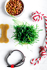 dry dog food in bowl on stone background top view