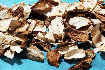 dried mushrooms on blue background.