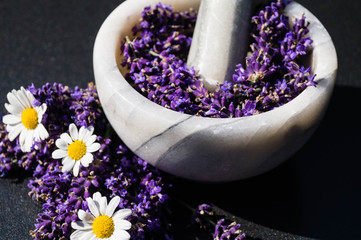 Lavendel