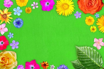 Beautiful flower frame with empty in center on green gentle leather background. Floral composition of spring or summer flowers.