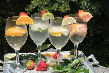 Fresh Fruit in Sparkling Water - Refreshing summer beverage