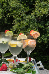 Fresh Fruit in Sparkling Water - Refreshing summer beverage