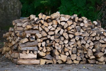 dry wood stacked in piles