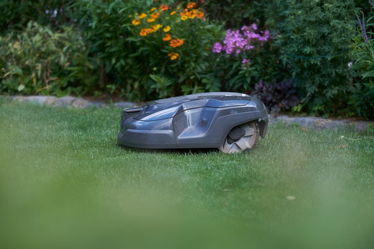 The robot mows the lawn according to schedule