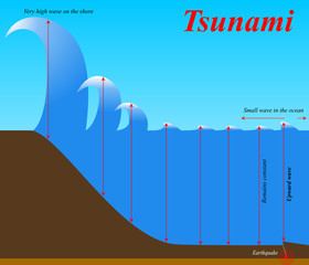 The structure of earthquake Tsunami. Education chart of natural phenomenon. - 210876543