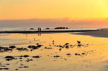 Golden California beach sunset and sky reflections in the water.