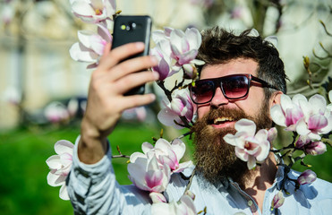 Blogger concept. Man with beard and mustache wears sunglasses on sunny day, magnolia flowers on...