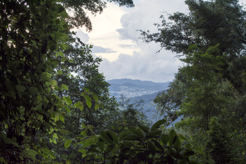 Fototapeta premium Window through the trees of small town in the hills