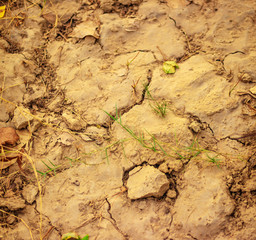 Bare land close up, dried soil