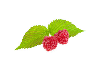 two raspberry berries and green leaves on a white background
