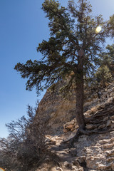 View  from Grandview Trail into the Grand Canyon, Arizona, USA