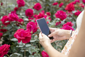Bicycle ride in Paris
