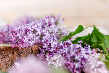 Magnificent purple lilac flowers on a wooden background.