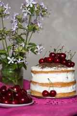 Sponge cake with creamy cream with cherries and chocolate.