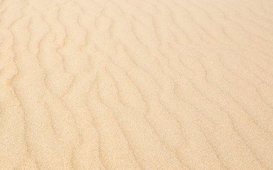 Fototapeta na wymiar Sand waves texture with diagonal pattern. Sandy beach for background. Perspective view