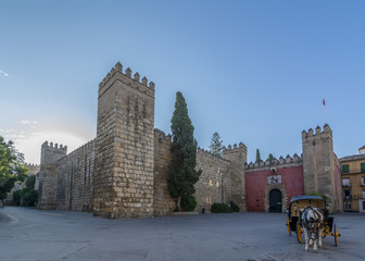 Puerta del Real Alcazar de  Sevilla. 
