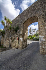 Fototapeta na wymiar puerta de Belen de la antigua muralla de Medina Sidonia