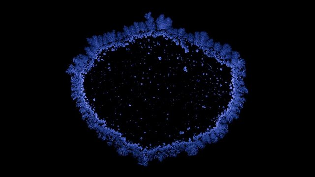 Drop drying with crystals growth. Time lapse of crystallization process under microscope. Separated on pure black background, contains alpha channel.