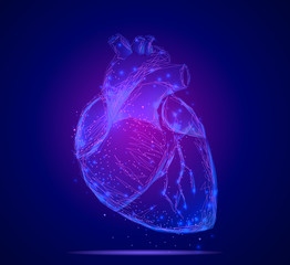 Heart. Abstract 3d vector human heart isolated on blue. Anatomy, cardiology medicine, organ health, medical science, life healthcare, cardio illness concept illustration or background. Low poly 