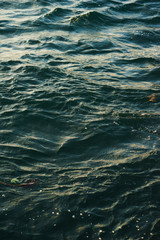 Surface of the sea with small waves of turquoise color.