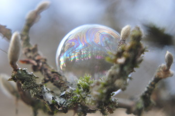Seifenblasen in der Natur
