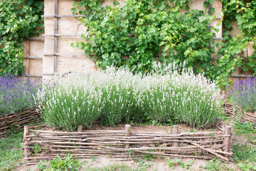 Beautiful floral decoration in the ancient medieval castle of Grabstejn in the Czech Republic in a small picturesque town. Roses, lavender, geranium, greens in the mountains. 