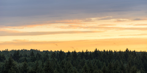 Vibrant orange sunset sky with clouds on horizon over the coniferous green forest