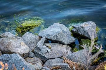 Group of large stones